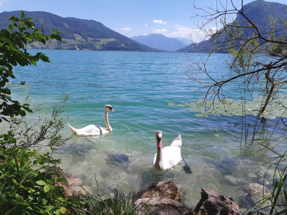 Apartment Am Wolfgangsee Strobl Extérieur photo